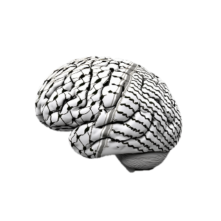 The Foundations of Decolonizing the Mind